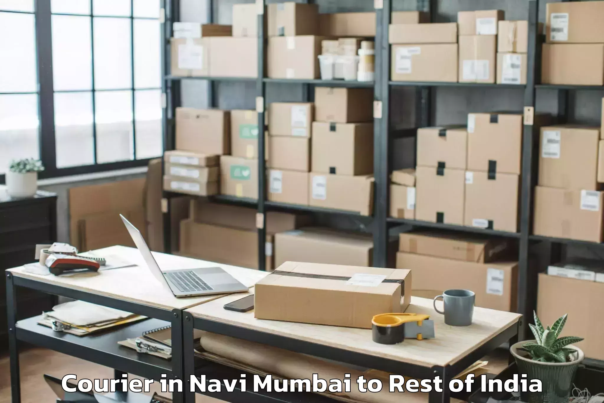 Navi Mumbai to Hajan Courier Booking